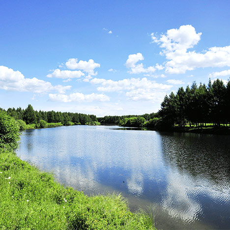 �����·���ɭ�ֹ��@